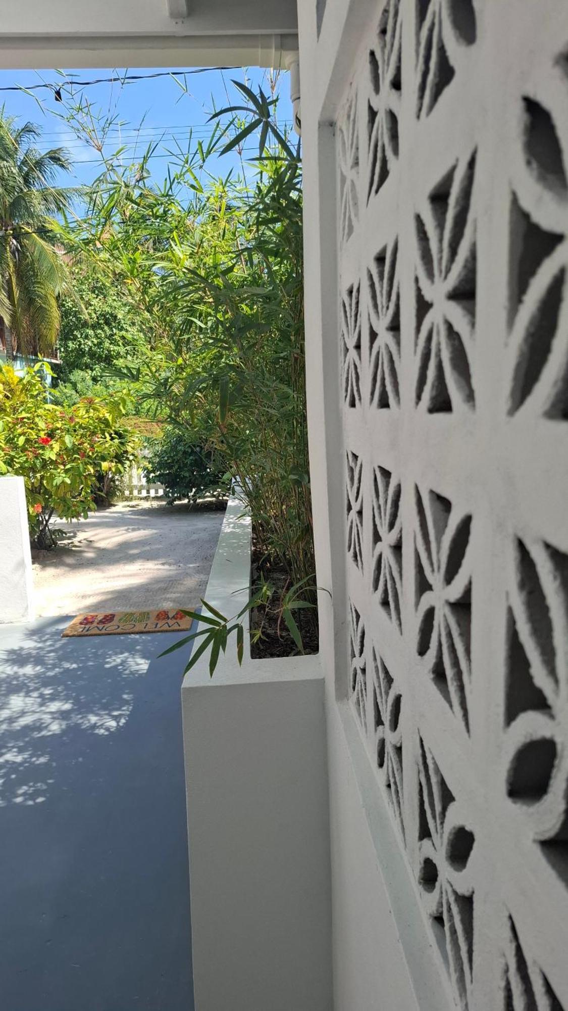 Amanda'S Place Green Studio - Pool And Tropical Garden Caye Caulker Exterior photo